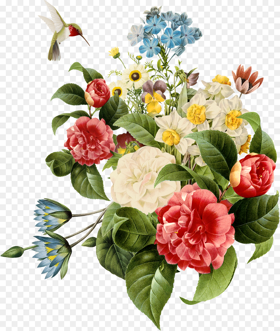Botanical Flowers Botanical Art Hd Flowers Bunch Floral Laminas Para Sublimar En Tela Flores Y Pajaros, Logo, Disk, Badge, Symbol Free Png Download