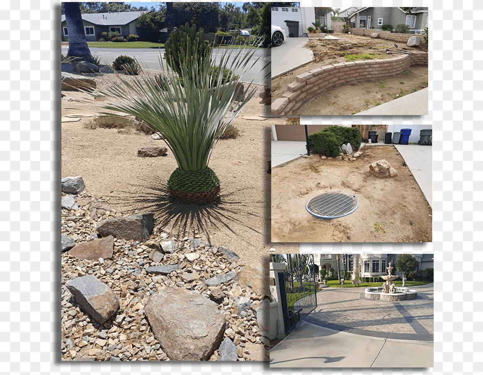 Botanical Garden, Path, Road, Plant, Pebble Png Image