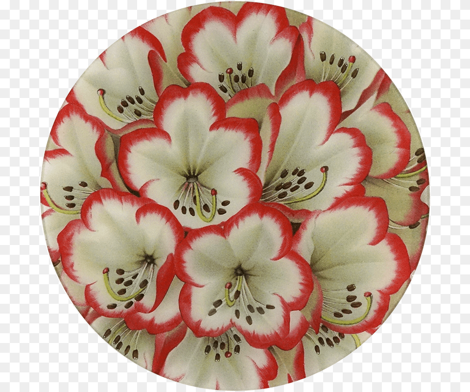 Botanical Illustration, Art, Porcelain, Pattern, Graphics Png Image