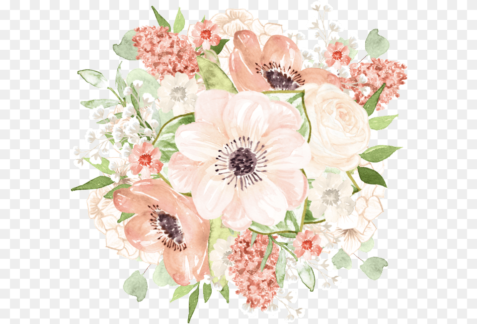 Botanical Vector Baby S Breath Cartoon Flower Bouquet Transparent, Flower Bouquet, Art, Floral Design, Flower Arrangement Free Png Download