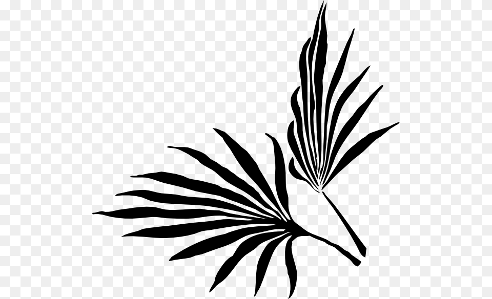 Botanical Vector Palm Leaf Palm Frond Clip Art, Herbal, Herbs, Plant, Stencil Free Png Download