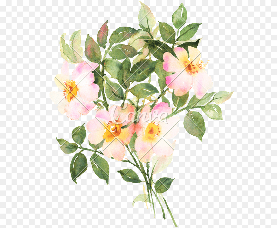 Botanical Watercolor Painting Watercolor Painting, Plant, Petal, Flower, Leaf Free Transparent Png
