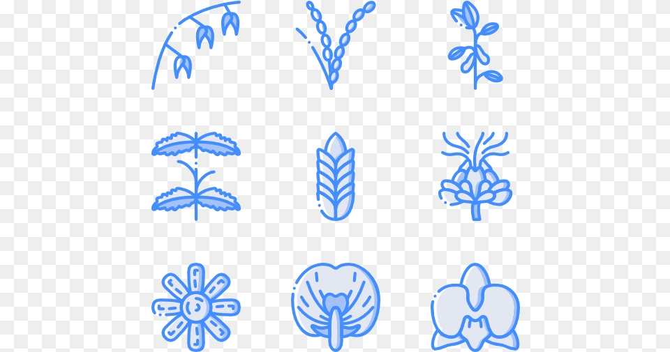 Botanicals, Nature, Outdoors, Pattern, Snow Png Image