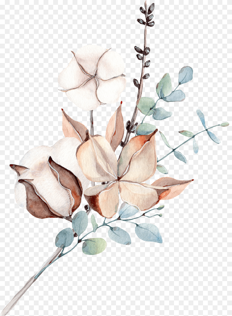 Botanicheskie Risunki, Art, Flower, Plant, Leaf Free Transparent Png