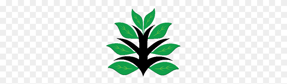 Botany Games, Herbal, Herbs, Leaf, Plant Png Image