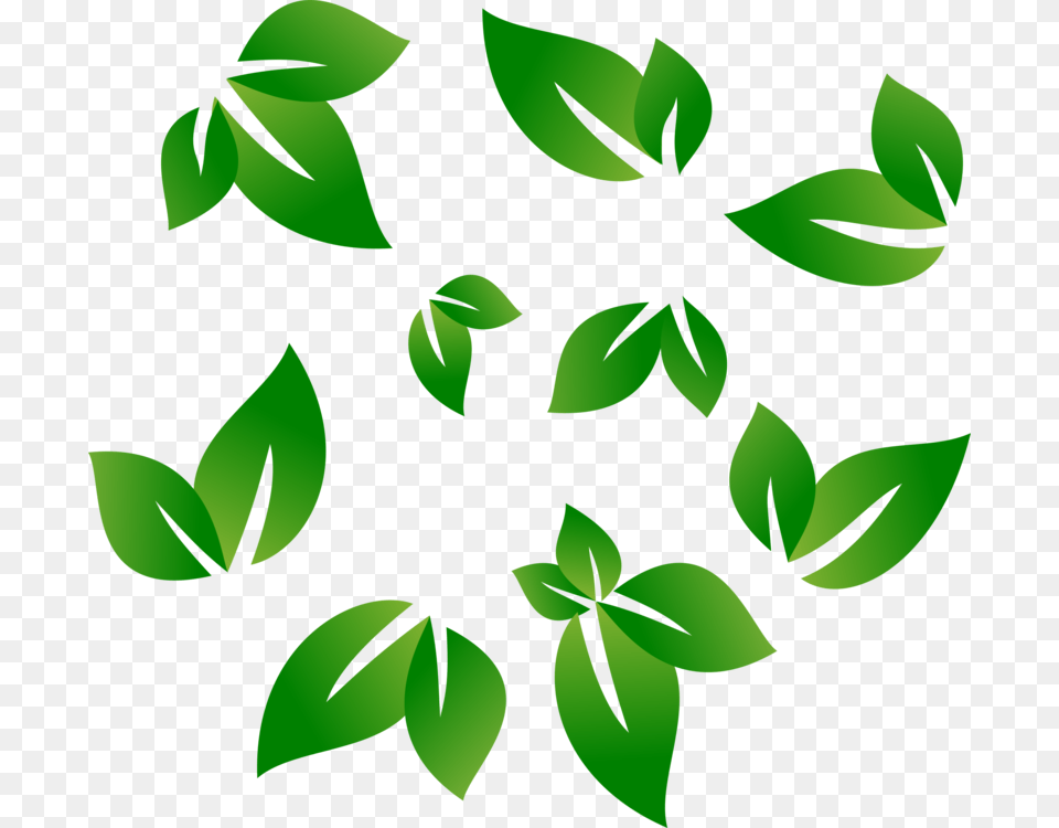 Botanyplantflower, Green, Leaf, Plant, Herbal Free Png