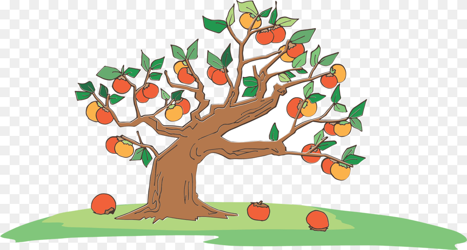 Botanyplantleaf Cartoon Background Tree With Fruit, Food, Plant, Produce, Baby Free Png Download