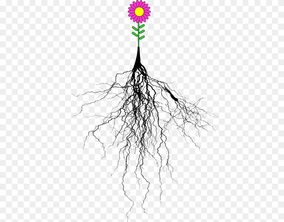 Botanyplanttree Tree With Roots, Daisy, Flower, Plant, Purple Free Png Download
