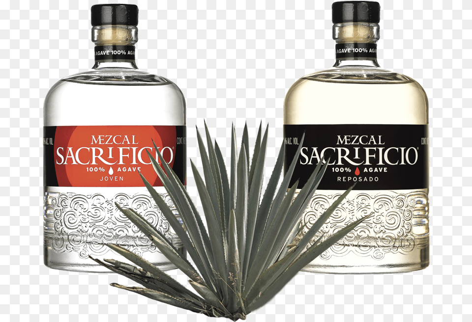 Botellas Mezcal Sacrificio Botellas De Mezcal, Alcohol, Beverage, Liquor, Tequila Png Image