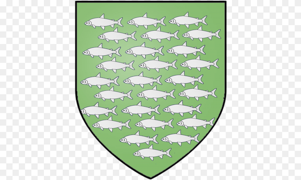 Botley Iron Islands Houses, Animal, Fish, Sea Life Png