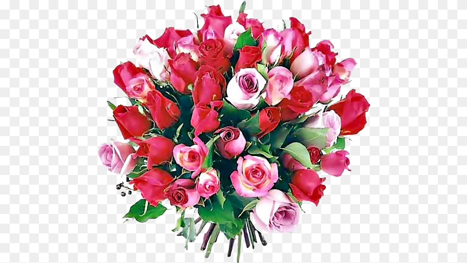 Boto De Rosas Bouquet De Fleurs Pour Anniversaire, Flower, Flower Arrangement, Flower Bouquet, Plant Png