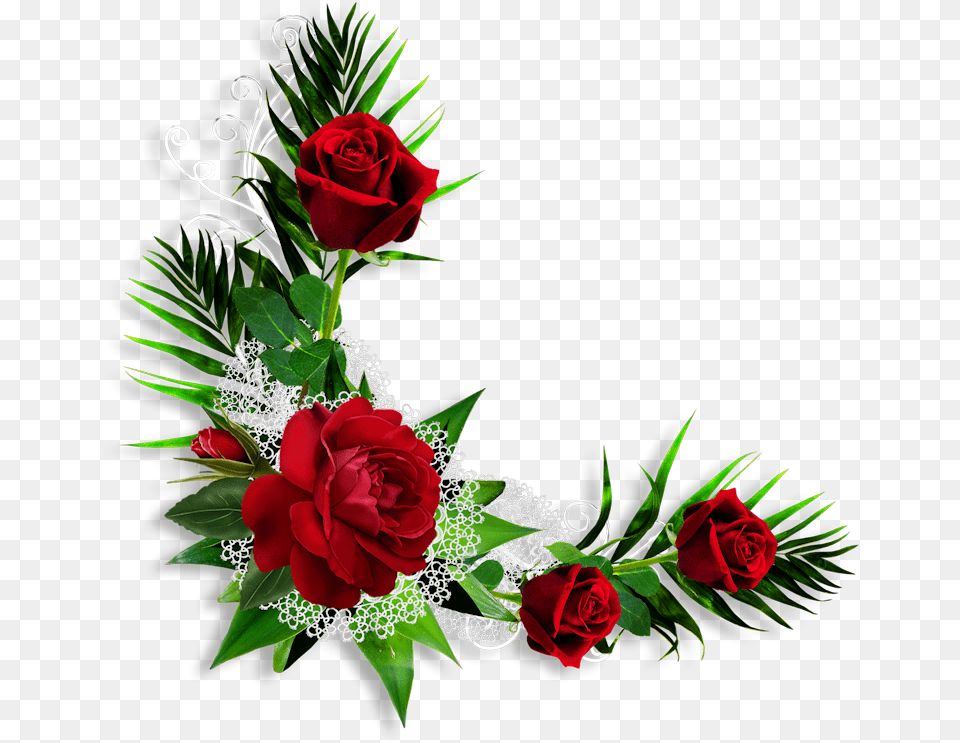 Boton De Rosa Roja Transparent Download Rose Montage, Art, Floral Design, Flower, Flower Arrangement Free Png