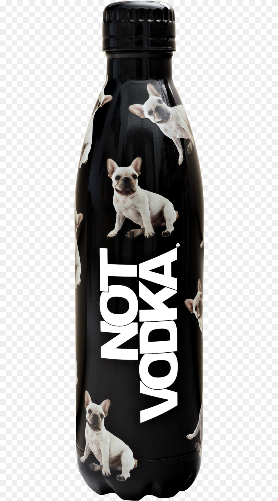 Bottle, Animal, Canine, Dog, Mammal Png Image
