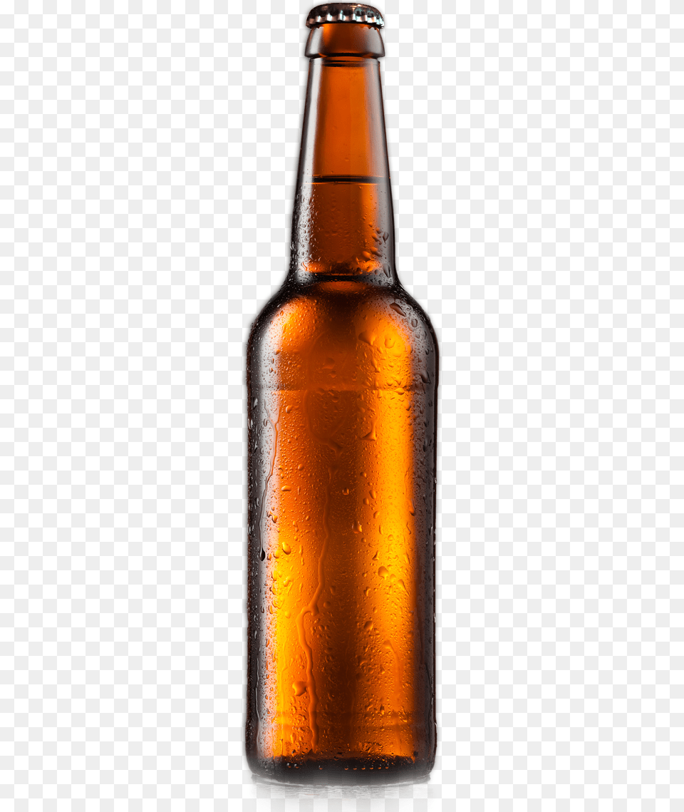 Bottle Beer Apparel Unlimited 1n0pj2jb Liberal Tears 3 Pack Can, Alcohol, Beer Bottle, Beverage, Liquor Free Png