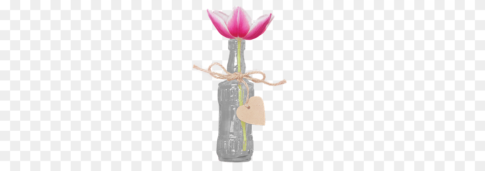 Bottle With Tulip Jar, Pottery, Vase, Flower Free Png