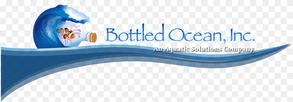 Bottled Ocean Tv Debut Edible Arrangements, Ice, Nature, Outdoors, Sea Free Transparent Png