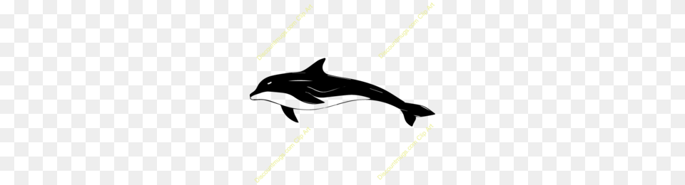 Bottlenose Dolphin Clip Art Clipart, Cutlery, Lighting Free Png Download