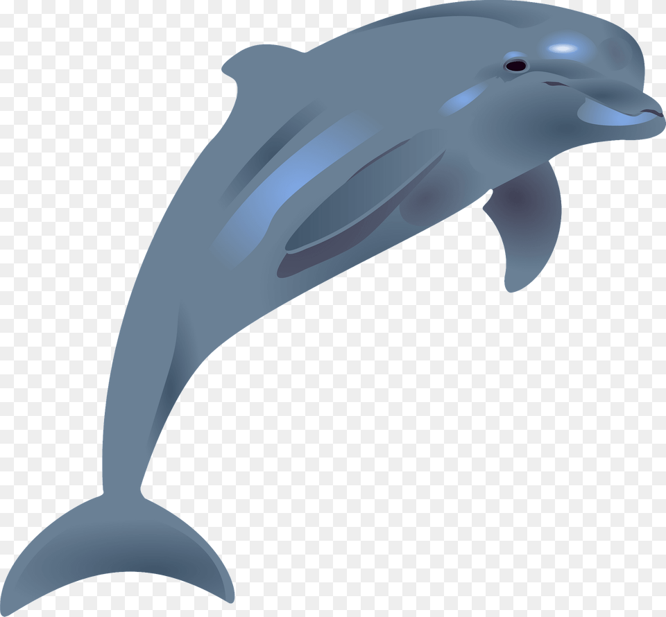 Bottlenose Dolphin Clipart, Animal, Mammal, Sea Life, Fish Png Image