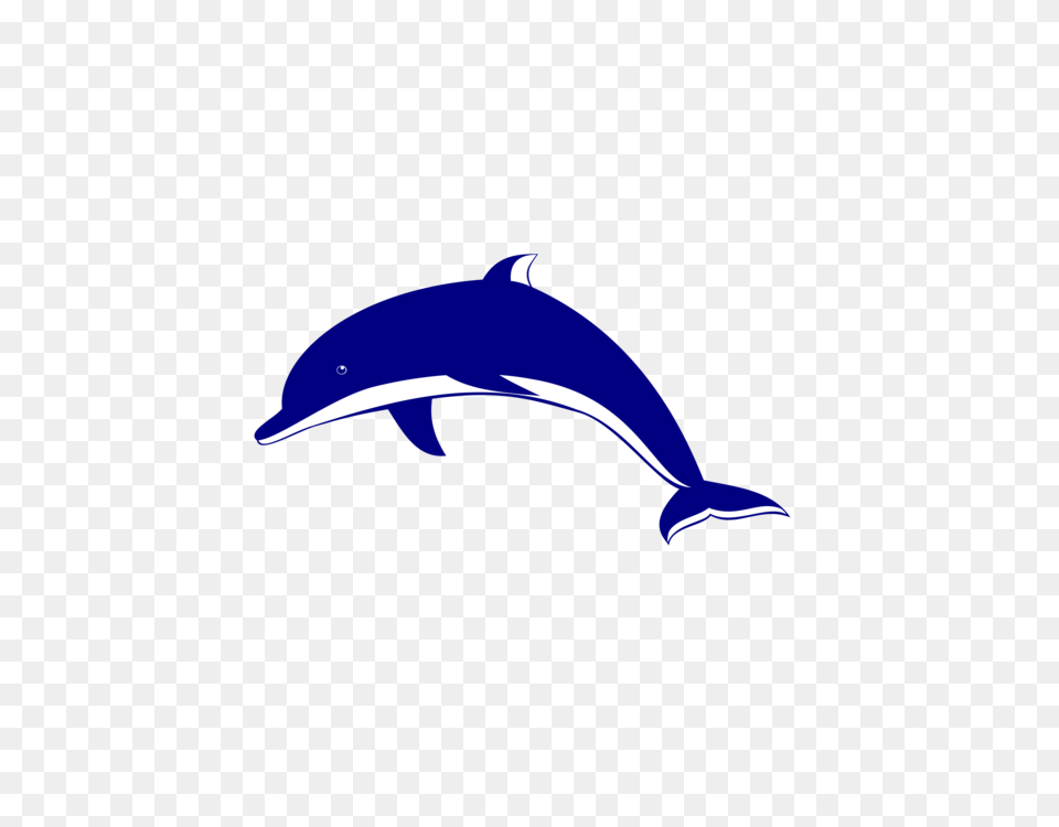 Bottlenose Dolphin Computer Icons Cetacea, Animal, Mammal, Sea Life, Bird Png