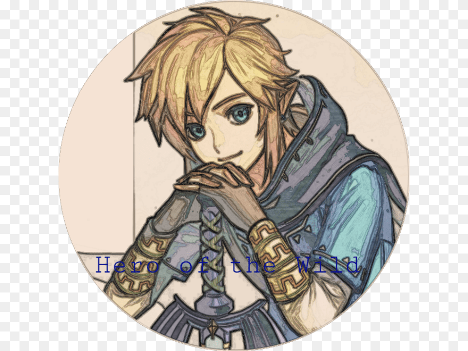 Botw Link Legendofzelda Zelda Lozbotw Link The Legend Of Zelda Icons, Book, Comics, Photography, Publication Png