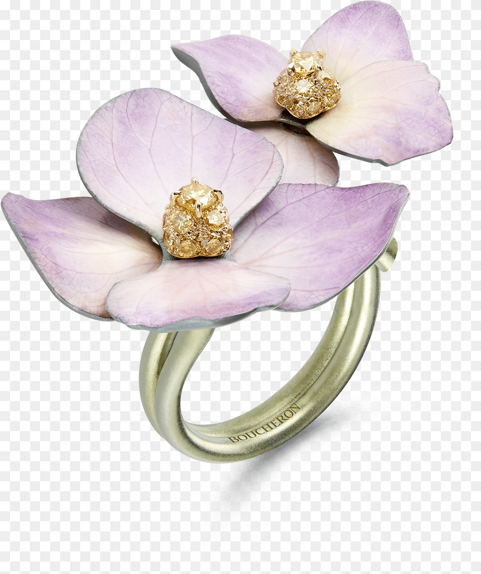 Boucheron Nature Triomphante, Accessories, Jewelry, Ring, Diamond Free Transparent Png
