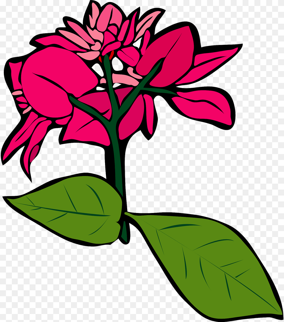 Bougainvillea Flower Clipart, Plant, Leaf, Art, Petal Free Png Download