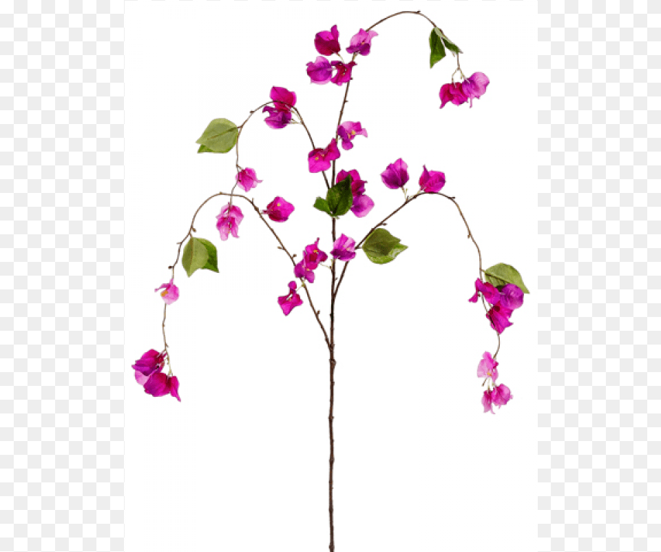 Bougainvillea Spray Purple Orchid Inch, Flower, Petal, Plant, Flower Arrangement Free Transparent Png