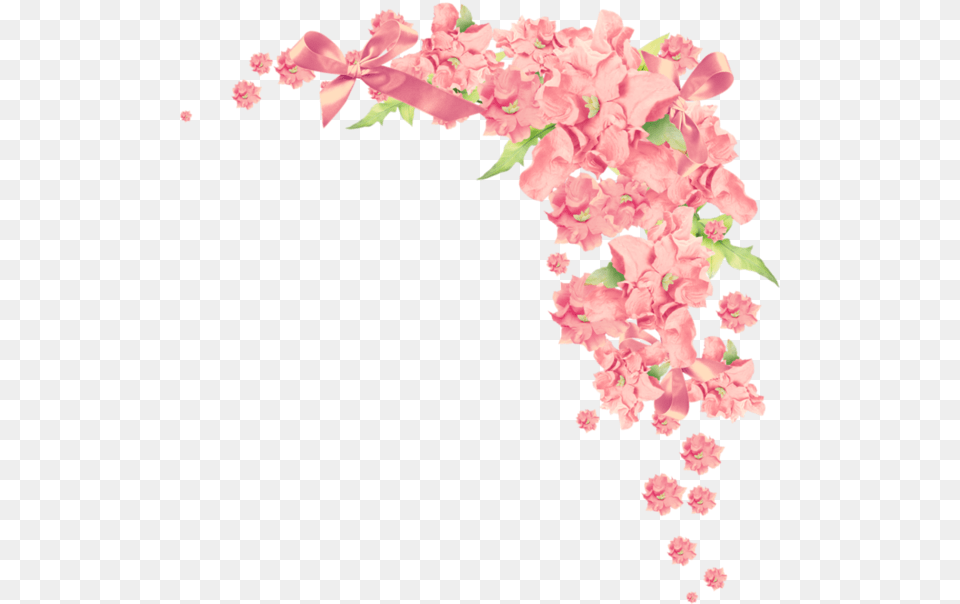 Bougainvillea Watercolor, Carnation, Flower, Petal, Plant Png Image