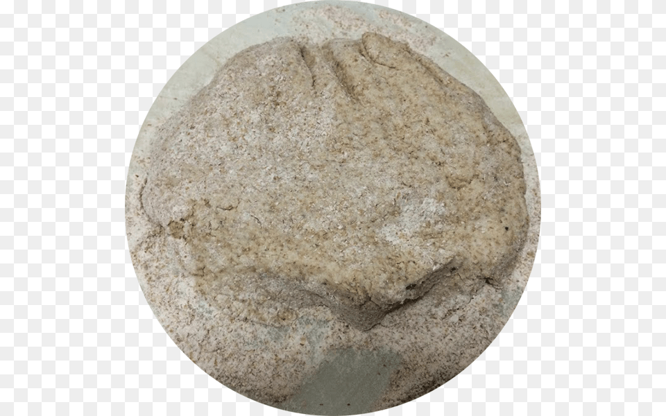 Boulder, Limestone, Rock, Fossil Png Image