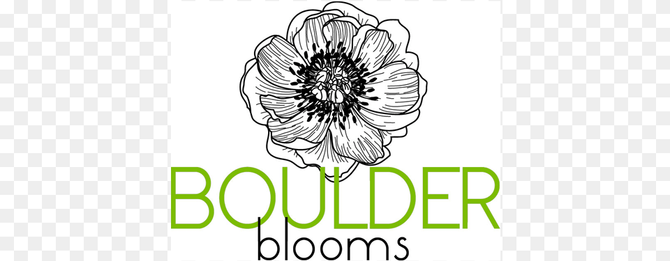 Boulderblooms Logo Logo, Dahlia, Flower, Plant, Art Free Png Download