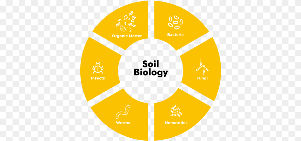 Bound Up Inside Bacteria Is Released And The Lawn Looks Petroleum Development Oman Logo Png