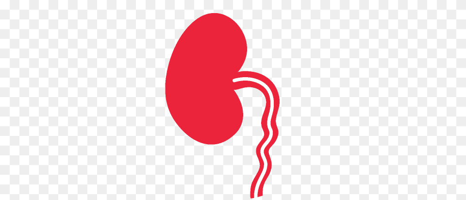 Boundary, Body Part, Stomach Png