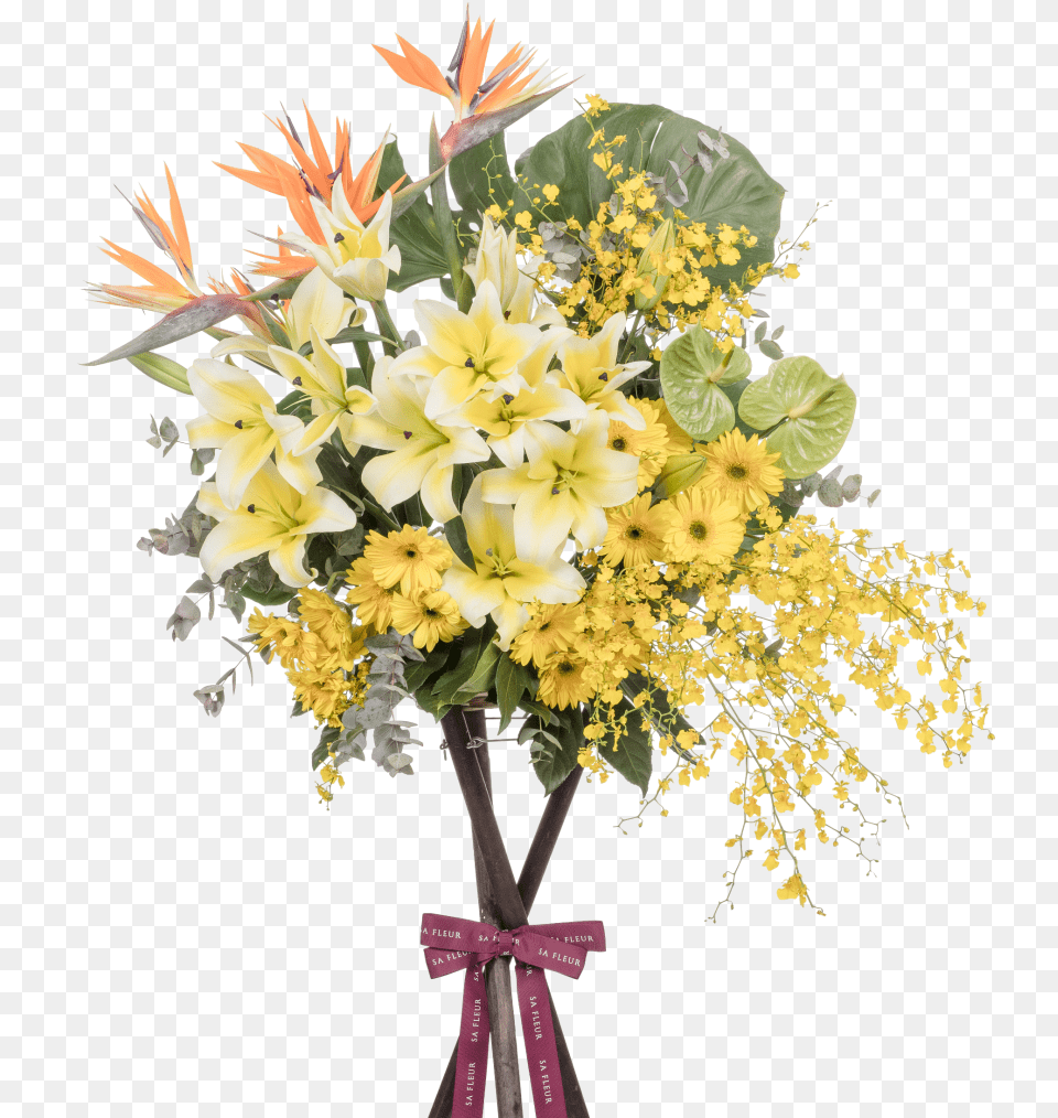 Bouquet, Flower, Flower Arrangement, Flower Bouquet, Plant Free Png Download