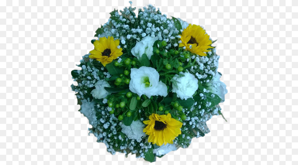 Bouquet, Anemone, Plant, Pattern, Graphics Free Transparent Png