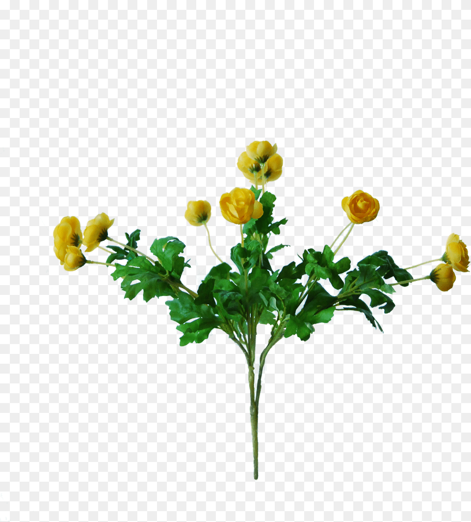 Bouquet, Flower, Plant, Flower Arrangement, Leaf Png Image