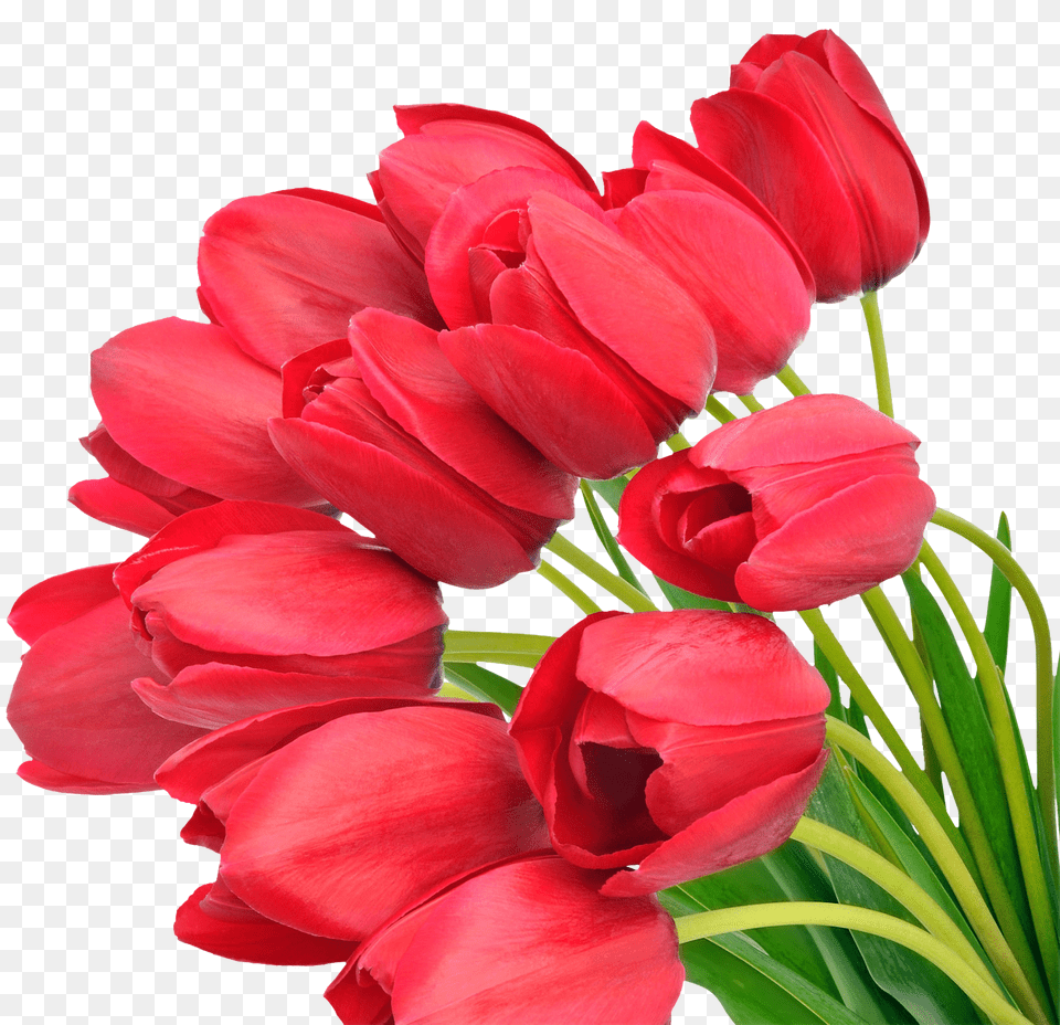 Bouquet Free Png Download