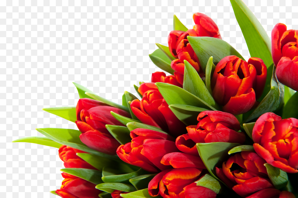 Bouquet Png Image