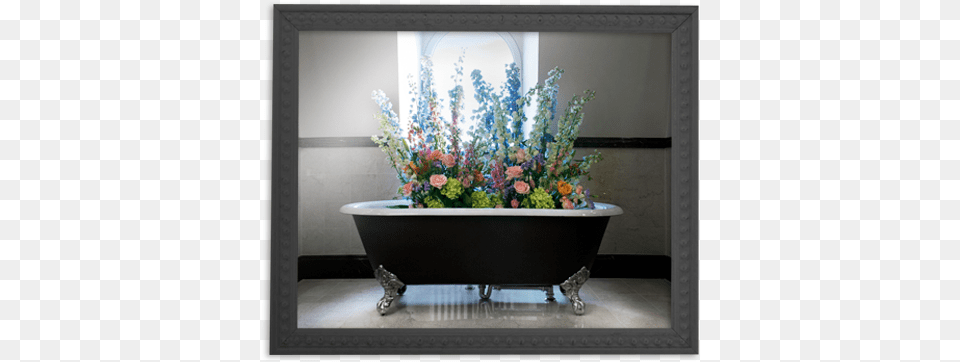 Bouquet, Bathing, Plant, Person, Tub Free Png