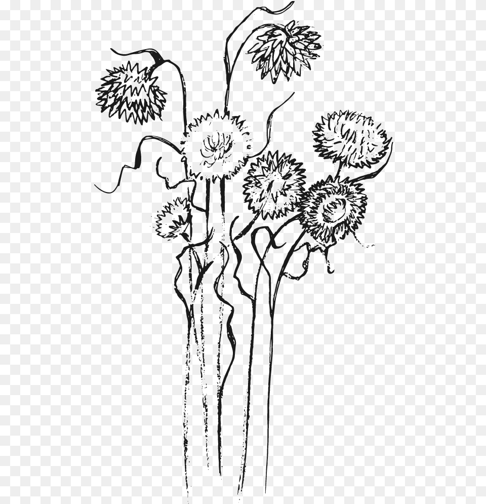 Bouquet, Art, Drawing, Flower, Plant Free Png