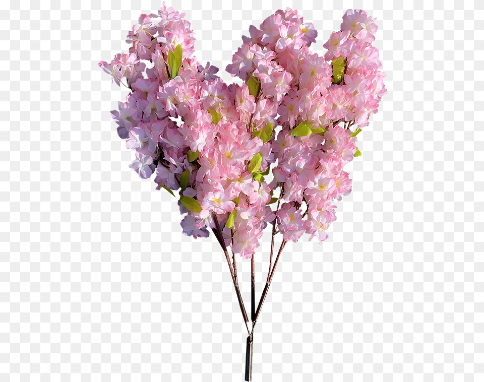 Bouquet, Flower, Plant, Flower Arrangement, Flower Bouquet Png Image