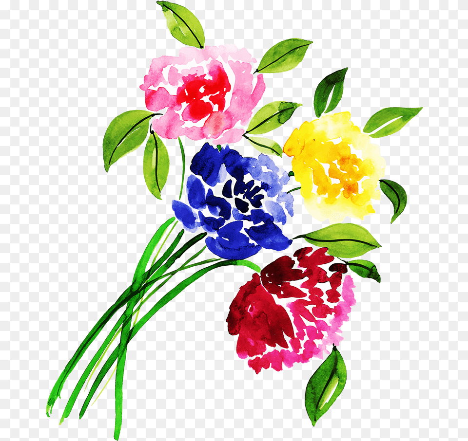 Bouquet, Carnation, Flower, Flower Arrangement, Plant Free Png
