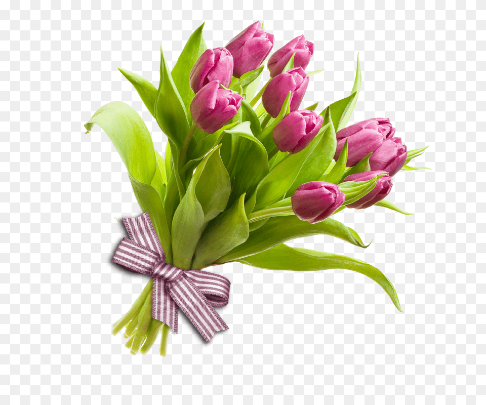 Bouquet, Flower, Flower Arrangement, Flower Bouquet, Plant Png