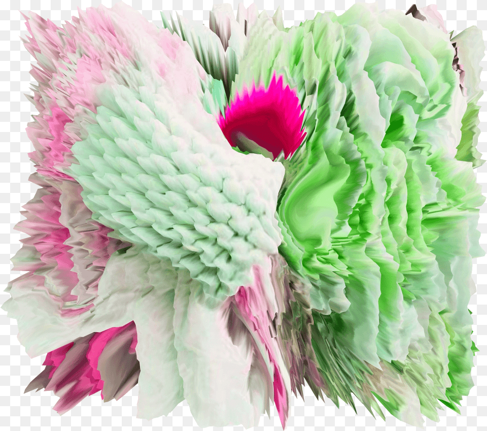 Bouquet, Carnation, Flower, Plant, Paper Free Transparent Png