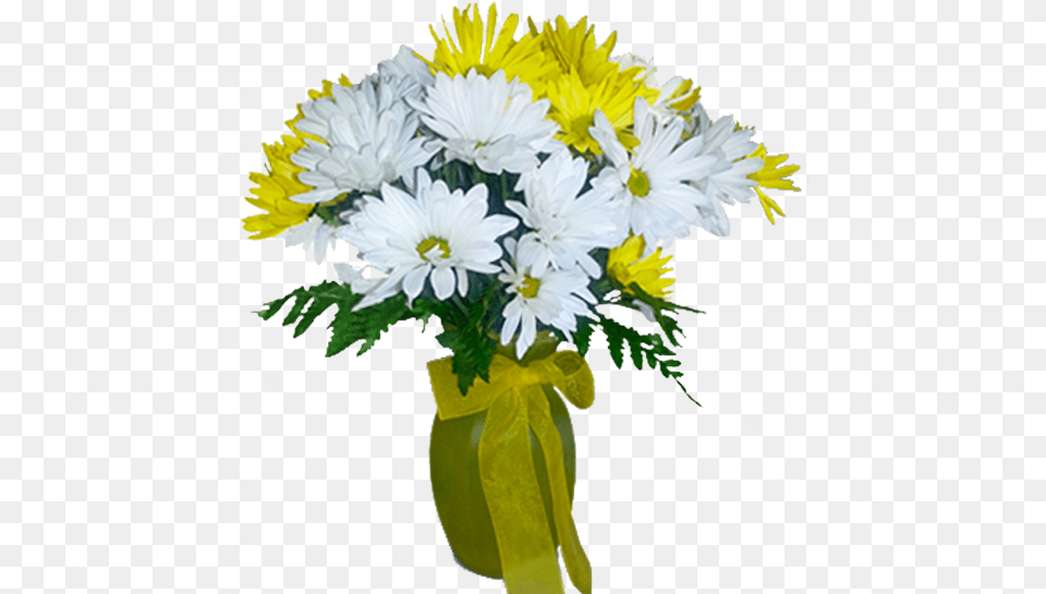 Bouquet, Daisy, Flower, Flower Arrangement, Flower Bouquet Free Transparent Png