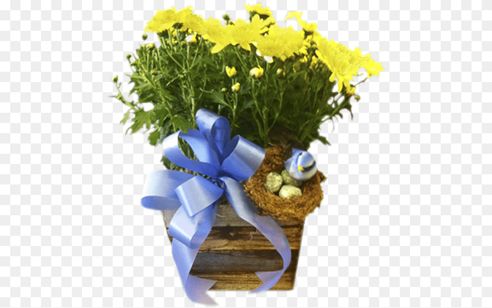 Bouquet, Flower, Potted Plant, Plant, Flower Bouquet Free Transparent Png