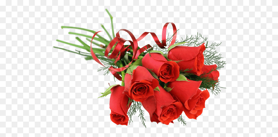 Bouquet, Flower, Flower Arrangement, Flower Bouquet, Plant Png