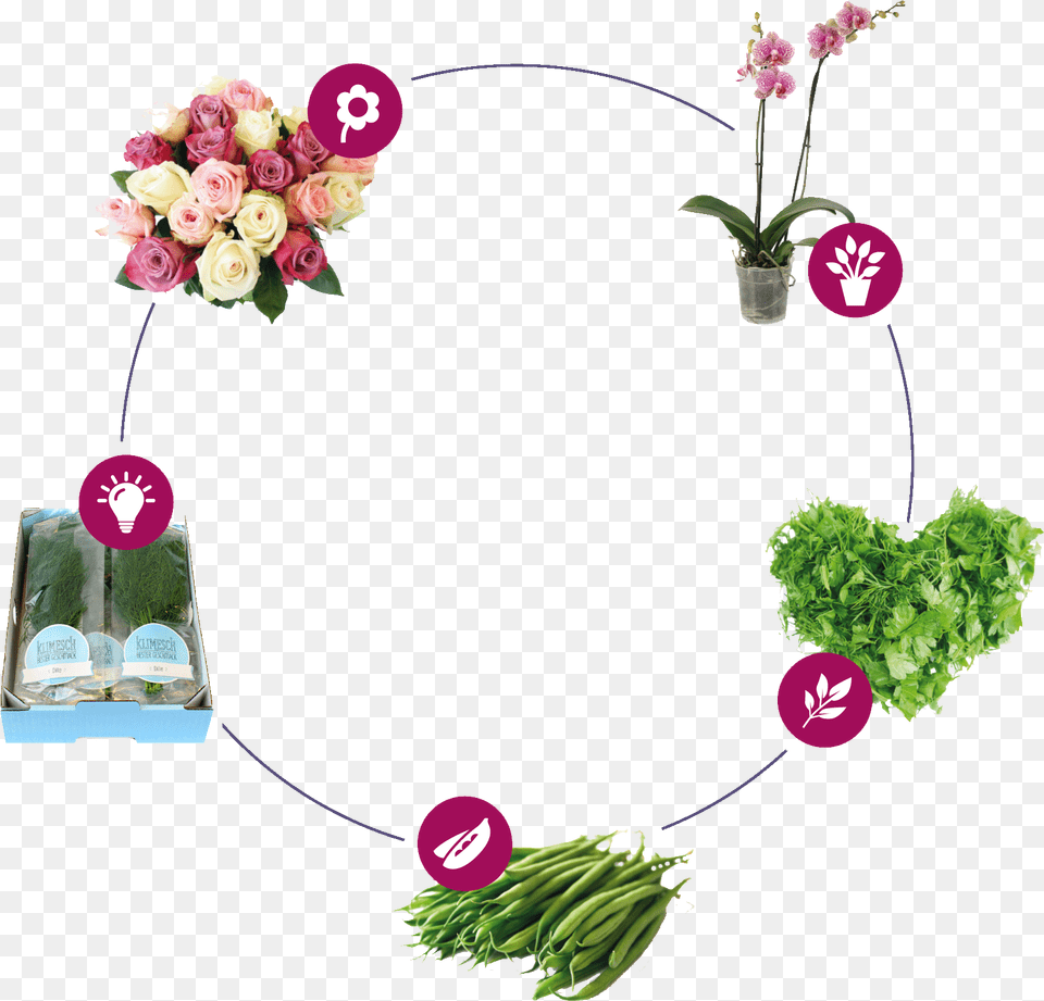 Bouquet, Art, Plant, Graphics, Flower Arrangement Png