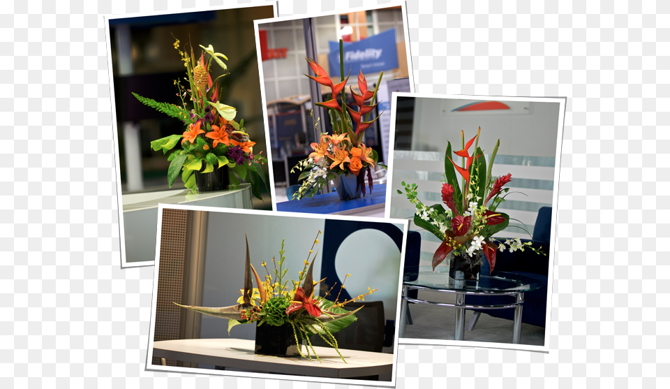Bouquet, Flower, Flower Arrangement, Flower Bouquet, Ikebana Png