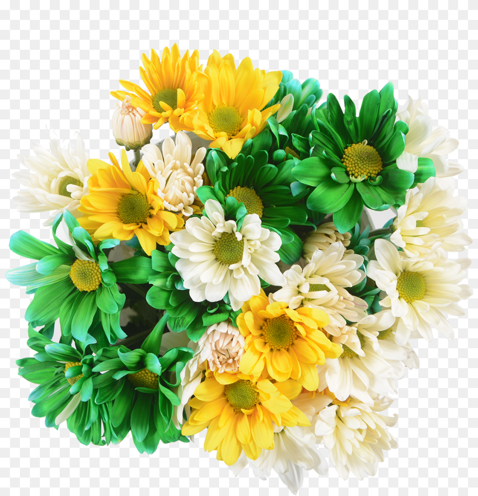 Bouquet, Daisy, Flower, Flower Arrangement, Flower Bouquet Free Transparent Png