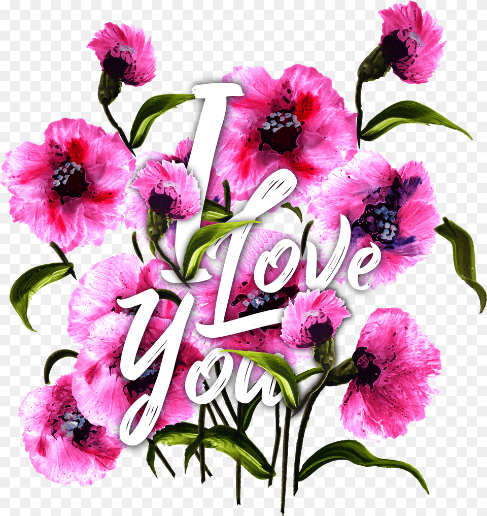 Bouquet, Flower, Plant, Carnation, Rose Free Transparent Png